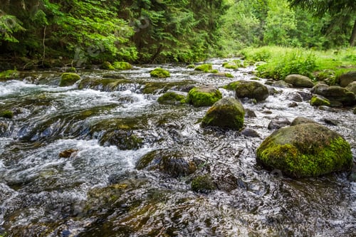 Preview: Mountain stream flowing between mossy stones