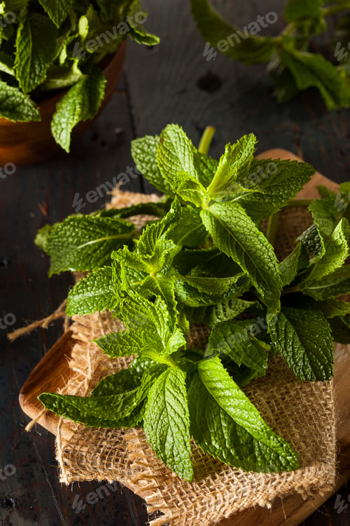 Preview: Organic Green Mint Leaf