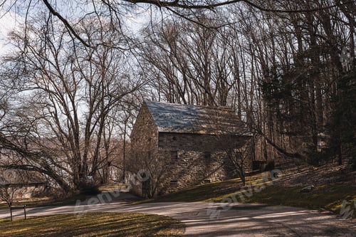 Preview: Quaint old stone house situated in the middle of a countryside road lined with trees