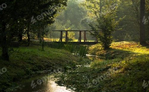 Preview: Wooden bridge in the forest at sunlight