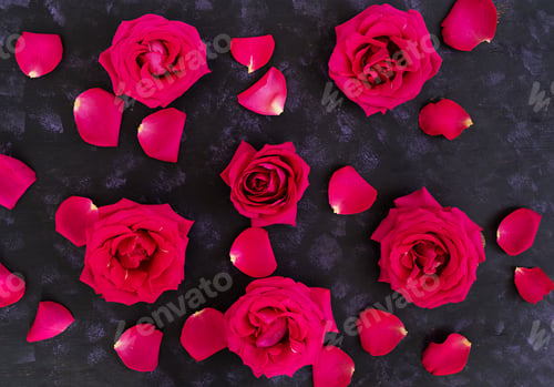 Preview: Pink roses on dark background. Top view
