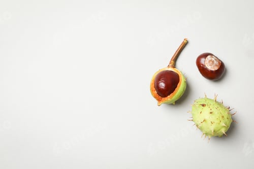 Preview: Fresh and ripe chestnuts, space for text