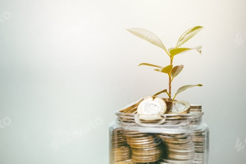 Preview: Plant grow on coin for money saving and investment for nature and environment background advertising