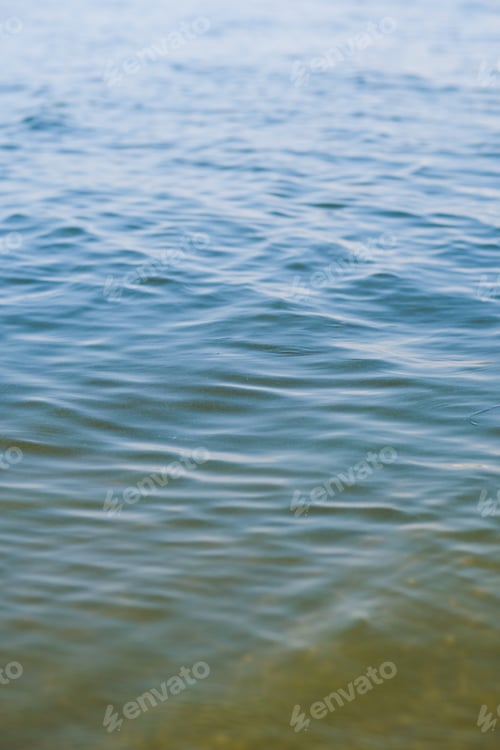Preview: River water background. Clear fresh water with greenery. Water bloom in summer. Shore of a river
