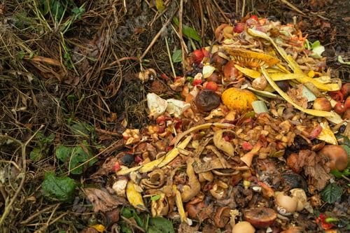 Preview: Compost pile made of organic food, leaves, vegetable and fruit waste mix