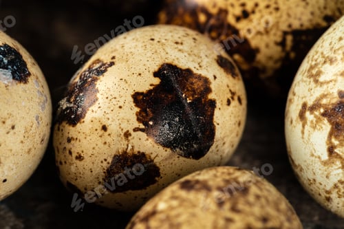 Preview: Quail eggs on a wooden table