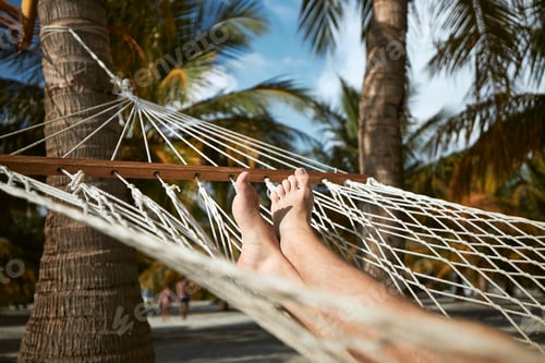 Preview: Relaxing in Hammock on Tropical Beach Under Palms