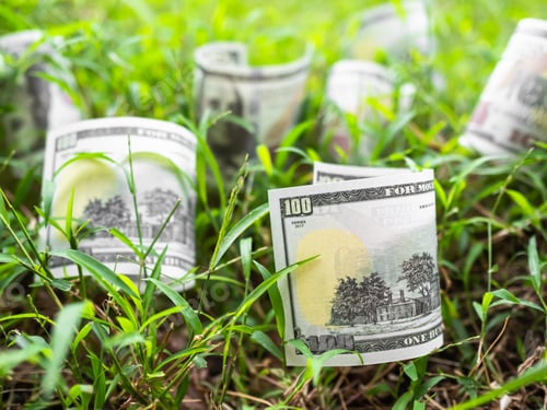 Preview: Bank Note DollarUS. on Green Grass Background