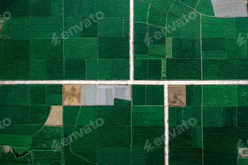 Preview: Paddy fields