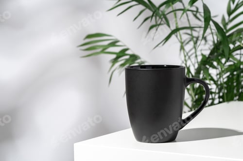 Preview: Porcelain cup and palm branch on white background