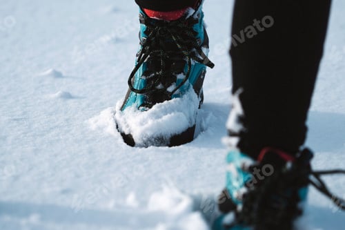 Preview: Walking through the snow