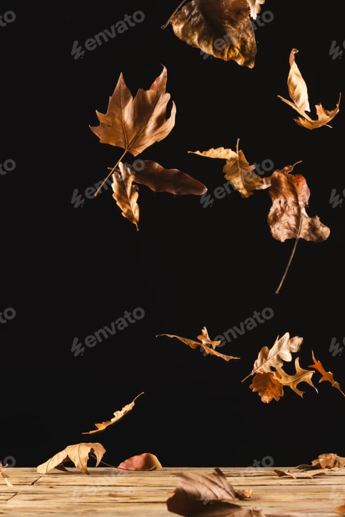 Preview: Vertical image of autumn leaves falling with copy space on black background