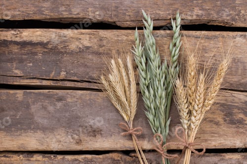 Preview: Cereal plants on old wooden floor.