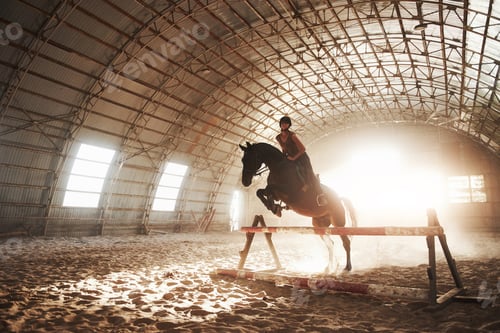Preview: Majestic image of horse horse silhouette with rider on sunset background. The girl jockey