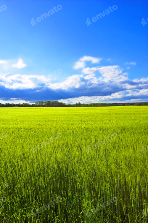 Preview: Springtime in the countryside