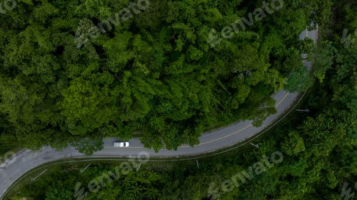 Preview: Aerial top view rural road in the green forest, Top view country road and green forest tree
