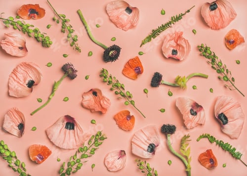 Preview: Pink and red flower petals, branches and leaves, top view