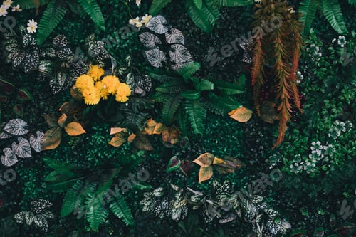 Preview: Close up group of background tropical green leaves texture and abstract background.