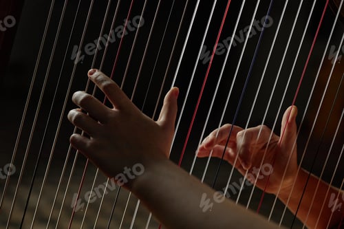 Preview: Female Hands Plucking Strings Playing Harp during Classical Music Performance on Stage