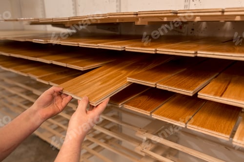 Drying wood flooring in the factory. Man holding wooden floor plank