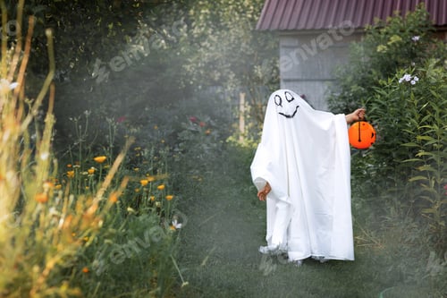 Preview: Halloween.Kid dressed as ghost children costume smile ghost pumpkin sunny nature or village outside