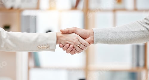 Preview: Two businesspeople shaking hands in a meeting at work. Business professionals greeting and making d