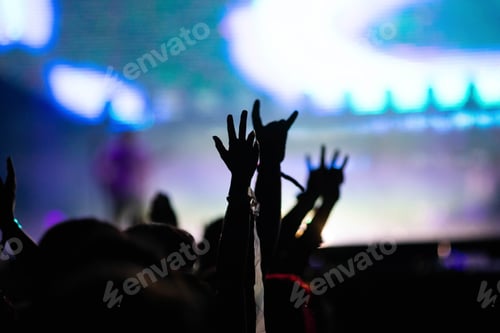 Preview: crowd partying stage lights live concert summer music festival