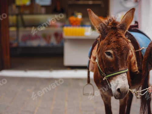 Preview: travel to city of Lindos on island of Rhodes, Greece