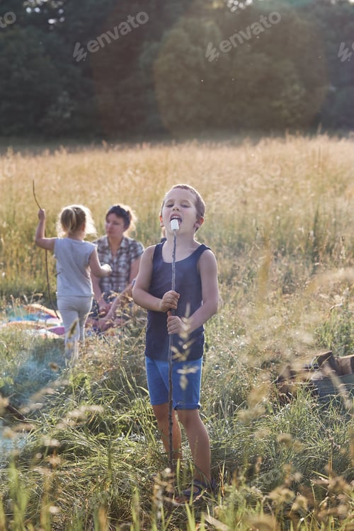 Preview: Boy eating a marshmallow after roasting it over a campfire on a meadow
