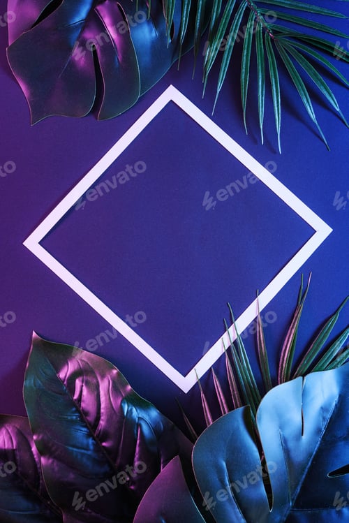 Preview: Frame with a white border and copy space with modi tropical palm leaves
