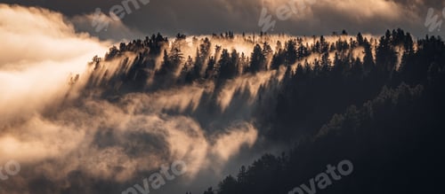 Preview: Panoramic view of green trees on mountains covered in mist in the Italian alps