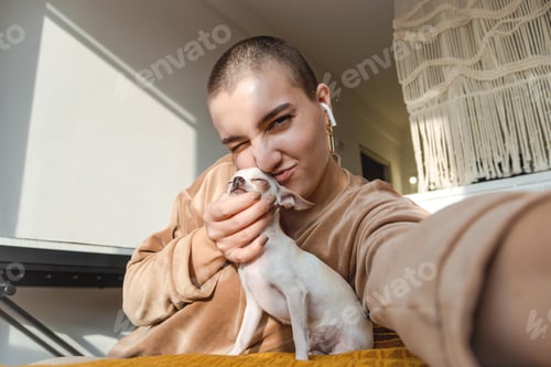 Preview: Adult playing with small dog indoors at home