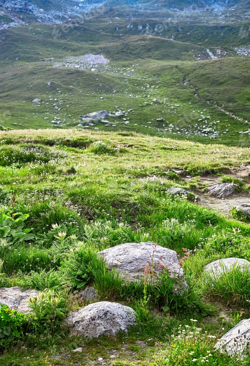Preview: Swiss Alps landscape