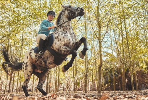 Preview: Horse with woman, riding in forest and jumping practice for competition, race or dressage with tree