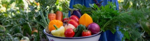 Preview: little girl freshly picked vegetables in a bowl. Selective focus