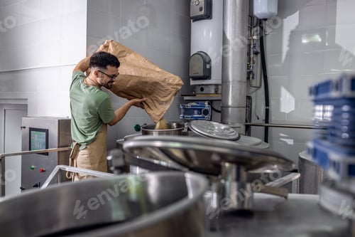 Preview: Man working in craft brewery.