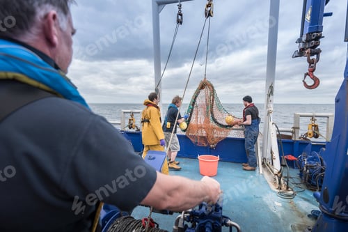 Preview: Fishermen and scientists pay out trawler net on research ship