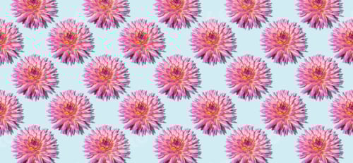 Preview: Floral pattern made of pink flowers over pastel blue background. Festive spring and summer