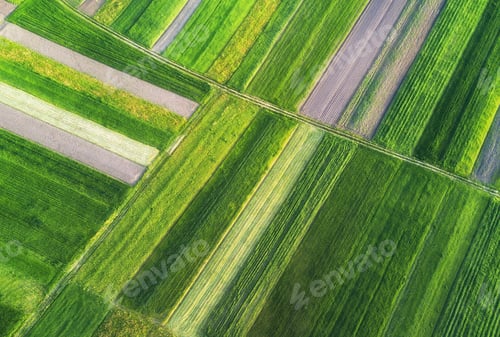 Preview: View on the field from air. Agricultural composition in the summer time.