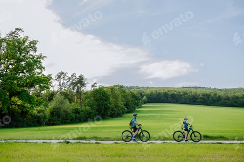 Preview: Active senior couple riding electric bicycles on path at summer park, healthy lifestyle concept.