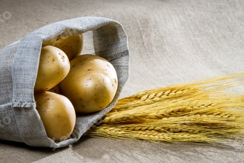 Preview: Potatoes and wheat on canvas