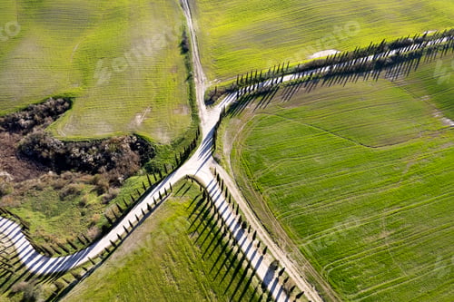 Preview: Aerial photography of a white road in Maremma
