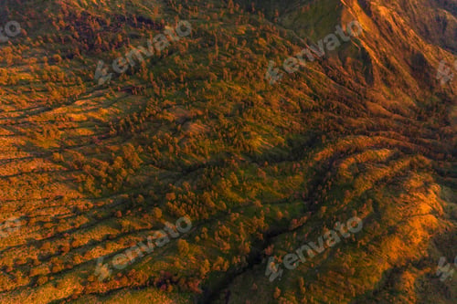 Preview: Nature landscape background in Java island, Indonesia