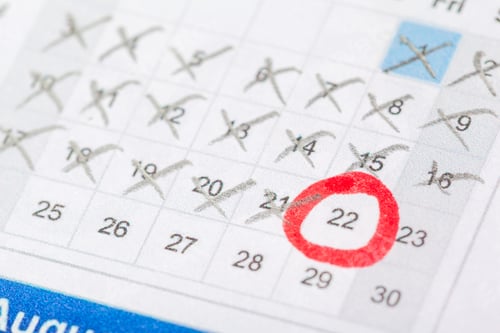 Preview: Marked calendar shows important date circled in red for planning activities in August
