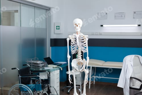 Preview: Empty medical office having human body skeleton used as professional tools