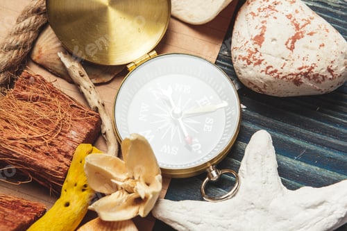 Preview: seashells and compass. beautiful sea composition with shells and vintage compass