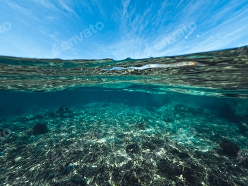 Preview: Underwater at the beach on the island