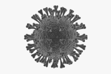 Preview: Animated Coronavirus Virion Structure