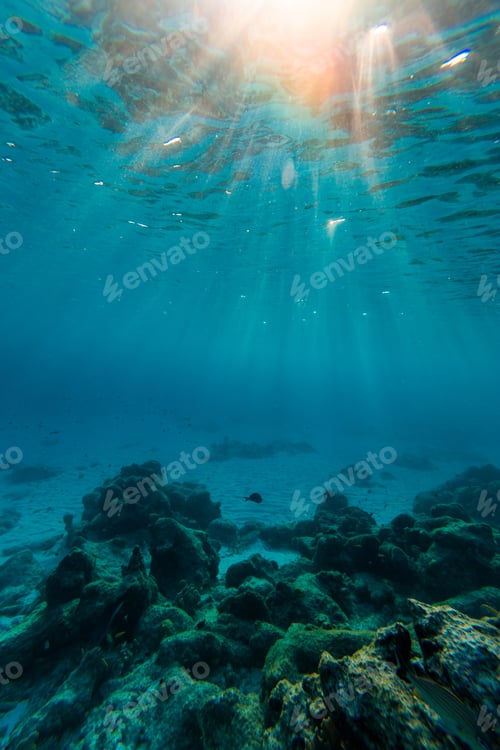 Preview: Breathtaking vertical shot of the upper world communicating with the underwater world