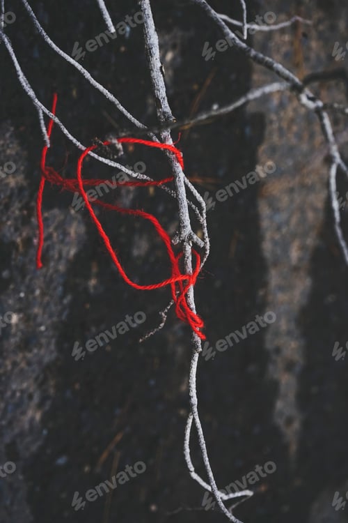 Preview: Red thread tangled in a dry branch